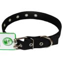 Lucky Pet (Лаки Пет) Ошейник брезентовый одинарный с кожей, 2,5 х 17-41 см