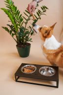 Harley & Cho (Харли энд Чо) Lunch Bar Brown Wood + Black Миска двойная на подставке для кошек и собак
