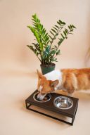 Harley & Cho (Харли энд Чо) Lunch Bar Brown Wood + Black Миска двойная на подставке для кошек и собак