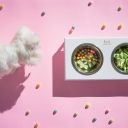 Harley & Cho (Харли энд Чо) Lunch Bar White Wood + White Миска двойная на подставке для кошек и собак