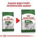 Royal Canin (Роял Канин) Mini Adult 8+ - Сухой корм для собак малых пород старше 8 лет