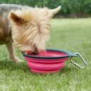 Dexas (Дексас) Миска складная с карабином, 240 мл