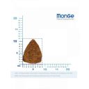 Monge (Монж) BWild Grain Free Cod Fish Adult Cat - Сухий беззерновий корм для дорослих кошік (з тріски, картоплі та сочевиці)