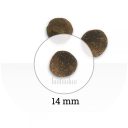 Natyka (Натика) Gourmet Lamb &Salmon - гипоаллергенный корм для собак с ягненком и лососем