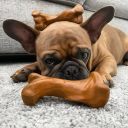 Nylabone Strong Chew Rubber Bone Жевательная игрушка для собак со вкусом говядины