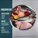 Orijen (Ориджен) Guardian 8 Cat - Сухой корм для кошек на всех стадиях жизни  (с мясом рыбы и птицы )