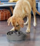 Outward Hound (Аутворд Хаунд) Fun Feeder Drop - Миска-лабиринт для собак