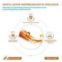 Mavsy Salmon Oil - Лососева олія для собак і котів