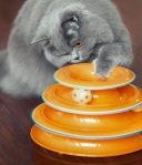 Petstages (Петстейджес) Tower Of Tracks Org Трек Башня с мячиками игрушка для кошек