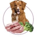 Orygo (Ориго) Pork Pate - Полнорационный влажный корм со свининой и брокколи для взрослых собак всех пород