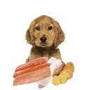 Orygo (Ориго) Puppies - Полнорационный полувлажный корм с лососем и бататом для щенков всех пород