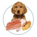 Orygo (Ориго) Puppies - Полнорационный влажный корм с лососем и бататом для щенков всех пород