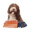 Orygo (Ориго) Salmon - Полнорационный полувлажный корм с лососем и черникой для взрослых собак