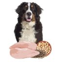 Orygo (Ориго) Senior - Полнорационный полувлажный корм с курицей и бобовыми для взрослых стареющих собак