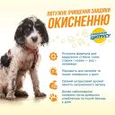 OUT! PetCare Orange Oxy Stain & Odor Remover АУТ! Оранж ОКСИ Сверхмощный Спрей  для удаления пятен и запаха от жизнедеятельности собак и кошек