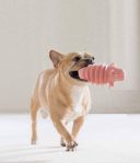 Outward Hound (Аутвард Хаунд) Accordionz Pig - Игрушка для собак Свинка-аккордеон