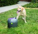 PetSafe (ПетСейф) Automatic Ball Launcher - Автоматический метатель мячей, игрушка для собак