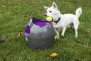 PetSafe (ПетСейф) Automatic Ball Launcher - Автоматический метатель мячей, игрушка для собак