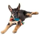 Petstages (Петстейджес) Orka Pine Cone Chew "Орка Шишка с канатом"