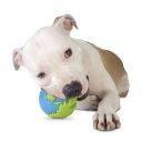 Planet Dog Orbee-Tuff Мяч-земной шар для собак