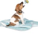 Pet Fashion (Пэт Фешн) "Bliss" - Плед для котов и собак, мята