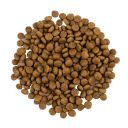 Savory (Сейвори) Gourmand Salmon and White Fish - корм для длинношерстных кошек (лосось/белая рыба)