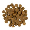 Savory (Сейвори) Junior Large Turkey &Chicken - корм для щенков крупных пород (индейка/курица)