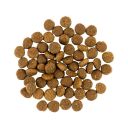 Savory (Сейвори) Large Breed Turkey &Lamb - корм для собак крупных пород (индейка/ягненок)