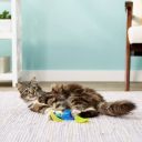 Petstages (Петстейджес) Toss N 'Flip Chips Чипсы игрушка для кошек