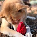 SodaPup (Сода Пап) USA-K9 Grenade – Игрушка-диспенсер для лакомств Граната из суперпрочного материала для собак, розовая