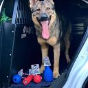 SodaPup (Сода Пап) USA-K9 Grenade – Іграшка-диспенсер для ласощів Граната із суперміцного матеріалу для собак, синя