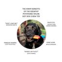 SodaPup (Сода Пап) Nylon Hot Dog Chew Toy – Игрушка жевательная Хот-дог из суперпрочного материала для собак