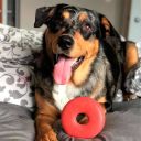 SodaPup (Сода Пап) Life Saver – Жевательная игрушка Спасательный круг для собак