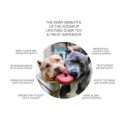 SodaPup (Сода Пап) Life Saver – Жевательная игрушка Спасательный круг для собак