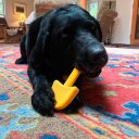 SodaPup (Сода Пап) Nylon Shovel – Жевательная игрушка Лопатка из суперпрочного материала для собак