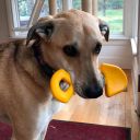 SodaPup (Сода Пап) Nylon Shovel – Жевательная игрушка Лопатка из суперпрочного материала для собак