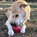 SodaPup (Сода Пап) Cupcake Treat Dispenser – Жевательная игрушка-диспенсер Пирожное для лакомств для собак