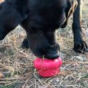 SodaPup (Сода Пап) Cupcake Treat Dispenser – Жевательная игрушка-диспенсер Пирожное для лакомств для собак