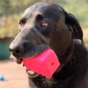 SodaPup (Сода Пап) Surf's Up Retro Van – Жевательная игрушка-диспенсер Ретро-фургон для лакомств из суперпрочного материала для собак, розовая