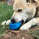 SodaPup (Сода Пап) Spotnik Flying Saucer Treat Dispenser – Жевательная игрушка-диспенсер Спутник для лакомств из суперпрочного материала для собак