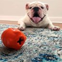 SodaPup (Сода Пап) Spotnik Rocketman – Жевательная игрушка-диспенсер Ракета для лакомств из суперпрочного материала для собак