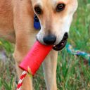 SodaPup (Сода Пап) USA-K9 Firecracker Training Dummy – Жевательная игрушка-диспенсер Петарда из суперпрочного материала для собак