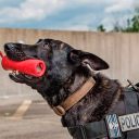 SodaPup (Сода Пап) USA-K9 Firecracker Training Dummy – Жевательная игрушка-диспенсер Петарда из суперпрочного материала для собак