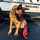 SodaPup (Сода Пап) USA-K9 Grenade Reward Toy – Жевательная игрушка-диспенсер для лакомств Граната с канатом из суперпрочного материала для собак, синяя