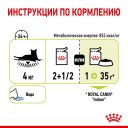 Royal Canin (Роял Канін) Sensory Smell in Gravy – Вологий корм з м'ясом та рибою для дорослих кішок, що стимулює нюхові рецептори (шматочки в соусі)