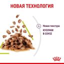Royal Canin (Роял Канін) Sensory Smell in Gravy – Вологий корм з м'ясом та рибою для дорослих кішок, що стимулює нюхові рецептори (шматочки в соусі)
