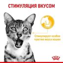 Royal Canin (Роял Канин) Sensory Taste in Gravy – Влажный корм с мясом для взрослых кошек, стимулирующий вкусовые рецепторы (кусочки в соусе)