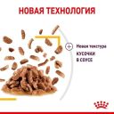 Royal Canin (Роял Канин) Sensory Taste in Gravy – Влажный корм с мясом для взрослых кошек, стимулирующий вкусовые рецепторы (кусочки в соусе)
