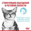 Royal Canin (Роял Канін) Sensory Feel in Gravy – Вологий корм з м'ясом та рибою для дорослих кішок, що стимулює дотичні рецептори ротової порожнини (шматочки в соусі)