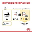 Royal Canin (Роял Канин) Sensory Taste in Jelly – Влажный корм с мясом для взрослых кошек, стимулирующий вкусовые рецепторы (кусочки в желе)